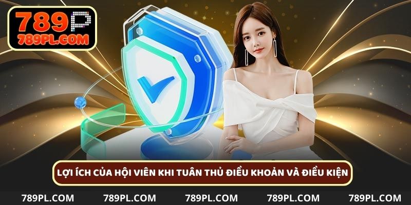 Những quyền lợi khi người dùng tuân thủ các điều khoản và điều kiện